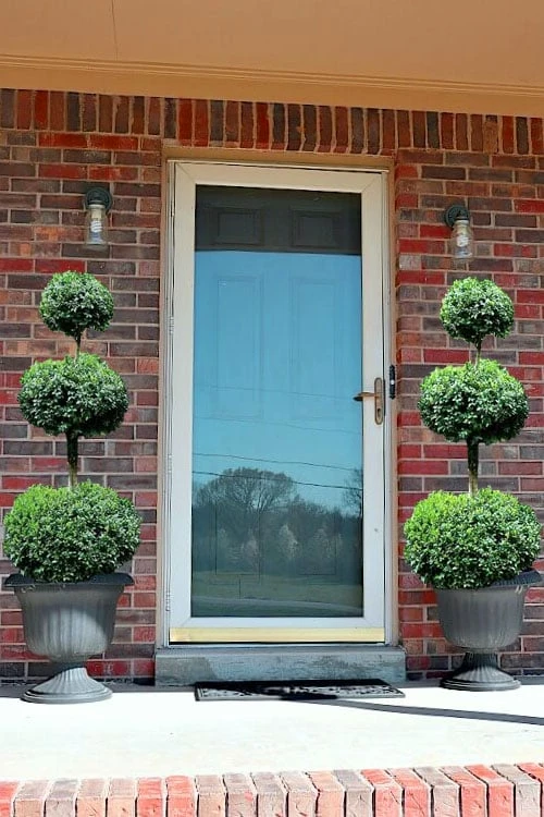 Common Boxwood 3-Ball Poodle Tier Topiary (Buxus Sempervirens) - 5 Gallon Pot - Image 4